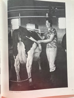 Woman 1975 : Young Women's Christian Association of Australia, 1975