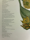 The Garden of Ideas: Four Centuries of Australian Style
Richard Aitken