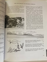 Native Trees and Shrubs of South-eastern Australia
Book by Leon Costermans