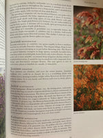 The Dry Garden

Gardening with drought-tolerant plants

JANE TAYLOR