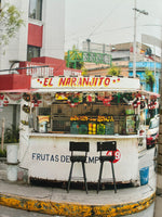 Mexico from the inside Out

by Olvera, Enrique/ Paz, Araceli