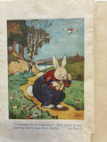 The Adventures of Peter Cottontail
By:
Thornton W. Burgess