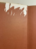 Aboriginal Art Of The Western Desert by Geoff Bardon 1979