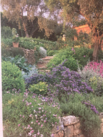 The Dry Garden

Gardening with drought-tolerant plants

JANE TAYLOR