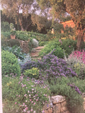 The Dry Garden

Gardening with drought-tolerant plants

JANE TAYLOR