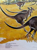 Skippy the bush kangaroo
