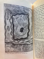 The Lie of the Land
Book by Paul Carter