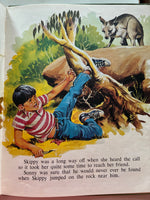 Skippy the bush kangaroo