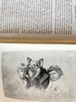 BEAUTIFUL JOE by Marshall Saunders- 1894 edition