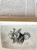 BEAUTIFUL JOE by Marshall Saunders- 1894 edition
