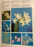 What Wildflower Is That? Alec M Blombery