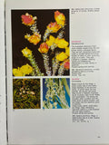 What Wildflower Is That? Alec M Blombery