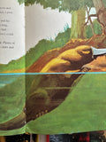 Australian Golden Book - Percy, The Peaceful Platypus by Jill Morris
