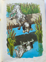 Aesop's Fables (Hardcover)
Retold by Marie Stuart & Audrey Daly
Published by Ladybird, 1983