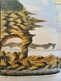 The Garden of Ideas: Four Centuries of Australian Style
Book by Richard Aitken