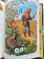 Aesop's Fables (Hardcover)
Retold by Marie Stuart & Audrey Daly
Published by Ladybird, 1983