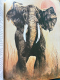 African Stories
Book by Robert Hull