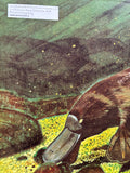 Australian Golden Book - Percy, The Peaceful Platypus by Jill Morris