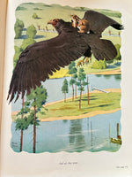 Uncle Remus, his songs and his sayings
Book by Joel Chandler Harris