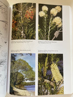 Native Trees and Shrubs of South-eastern Australia
Book by Leon Costermans