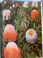 Australia's Western Wildflowers by M K Morcombe
