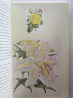 Clearings: Six Colonial Gardeners and Their Landscapes Book by Paul Fox