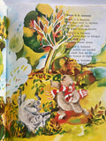AUSTRALIAN POEMS FOR ALL SEASONS  written by Joan Mellings  illustrated by Giulietta Stomann & Dec Huxley