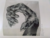 Lisa Roet: Uncommon Observations
Book by Alexie Glass and Lisa Roet