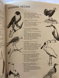 BIRDS OF AUSTRALIA  MICHAEL MORCOMBE