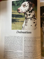What dog is that? : 100 breeds in Australia / text by Jon & Barbara Prosser ; photography by Michael Trafford