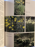 GARDEN BULBS  for Australia & New Zealand  James Hitchmough