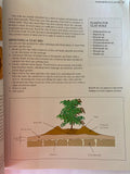 The New Complete Aussie Backyard Book
