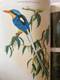 AUSTRALIAN BIRDLIFE ILLUSTRATED  RIGBY MALCOLM MCNAUGHTON