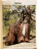 What dog is that? : 100 breeds in Australia / text by Jon & Barbara Prosser ; photography by Michael Trafford  of