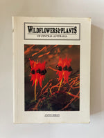WILDFLOWERS & PLANTS  OF CENTRAL AUSTRALIA  ANNE URBAN