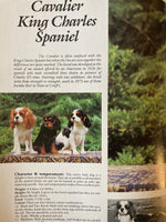 What dog is that? : 100 breeds in Australia / text by Jon & Barbara Prosser ; photography by Michael Trafford