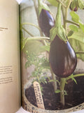 The Edible Balcony by Indira Naidoo