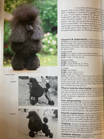 What dog is that? : 100 breeds in Australia / text by Jon & Barbara Prosser ; photography by Michael Trafford
