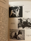 The Cocker Spaniel by C C Jenkins