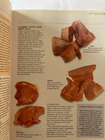 The Italian Cook by Capalbo and others